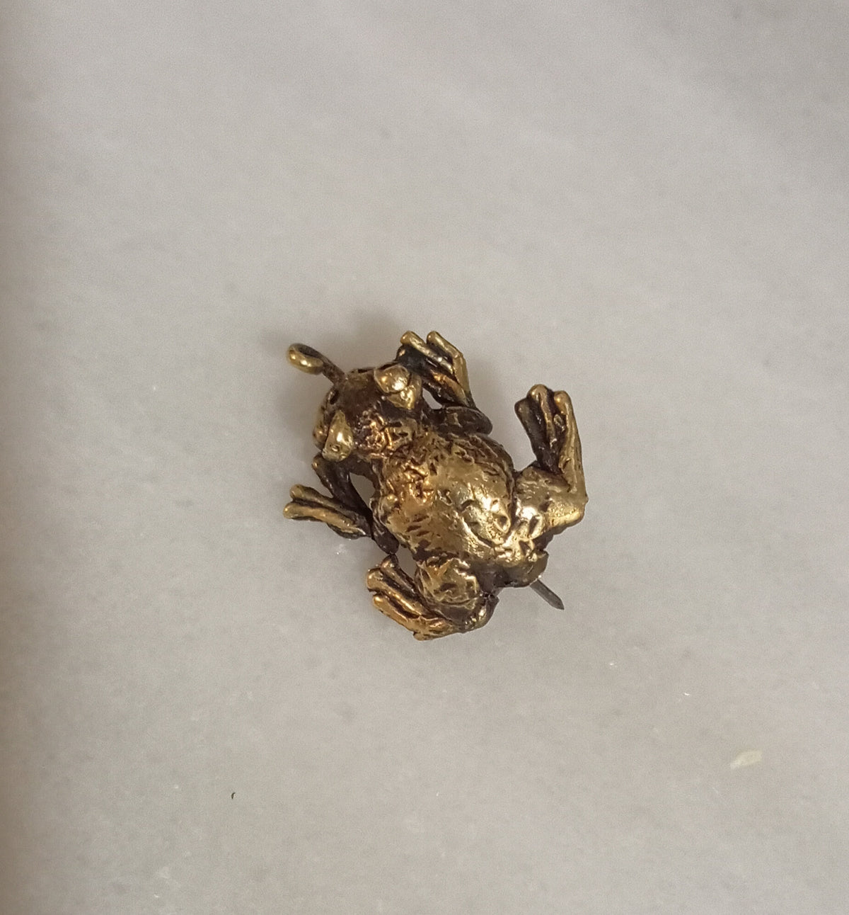 Broche rana en bronce