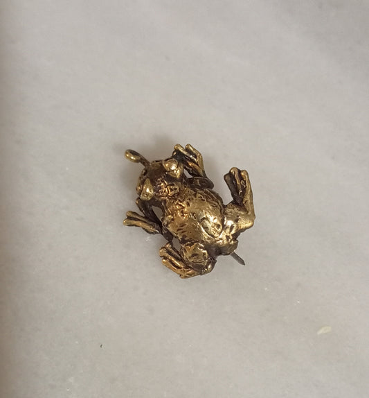 Broche rana en bronce
