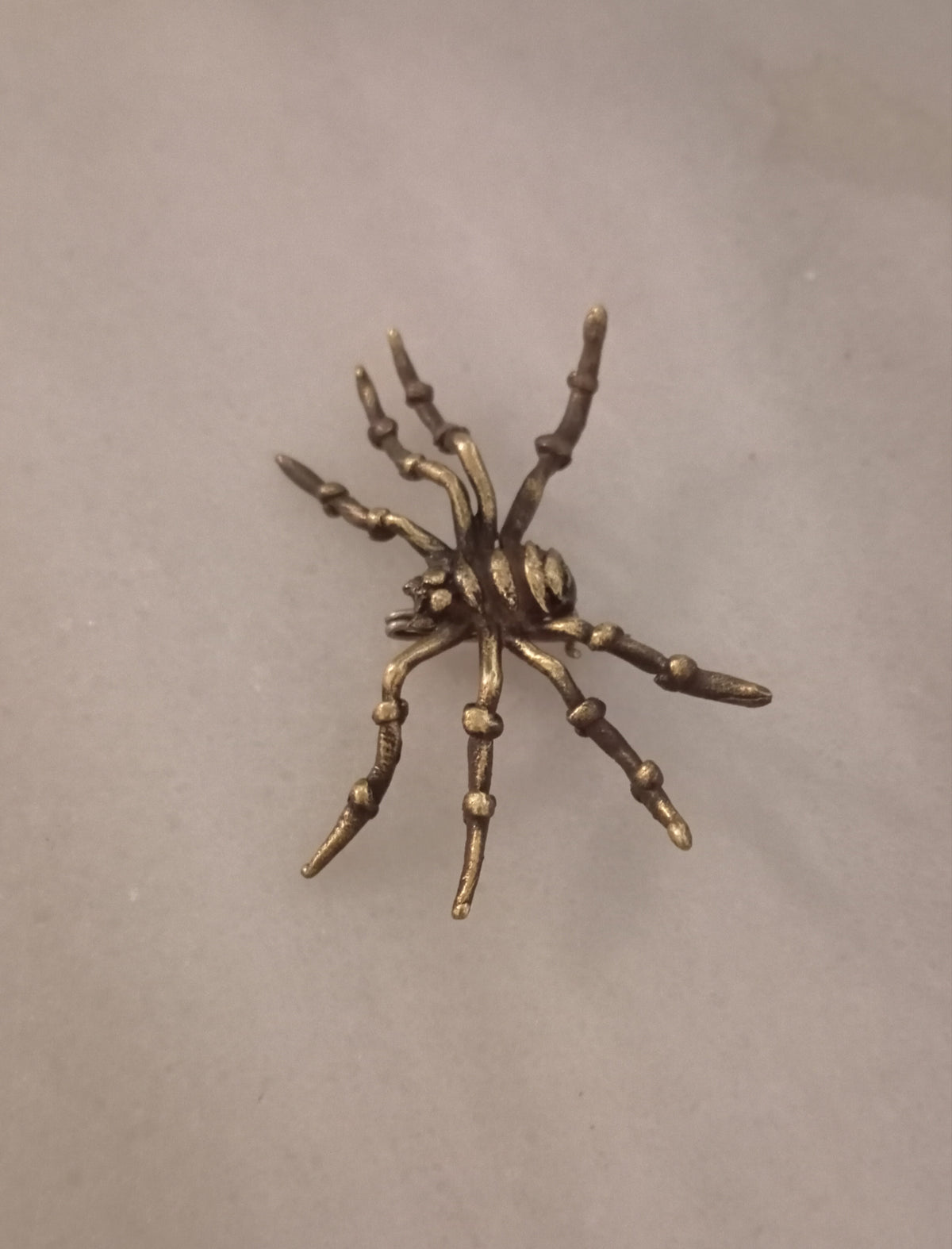 Broche tarantula en bronce